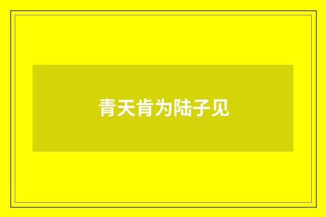 青天肯为陆子见