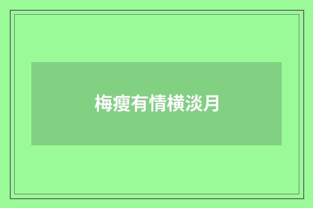 梅瘦有情横淡月