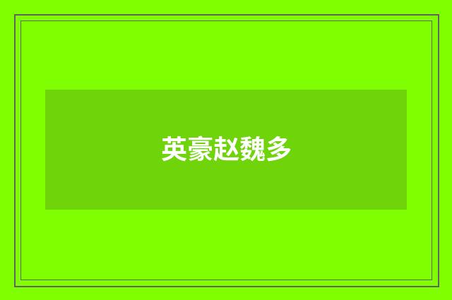 英豪赵魏多