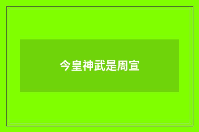 今皇神武是周宣