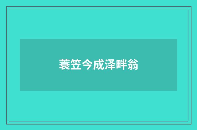蓑笠今成泽畔翁