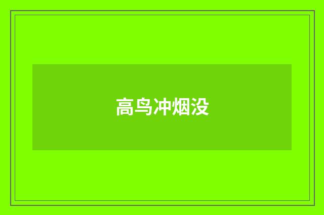 高鸟冲烟没
