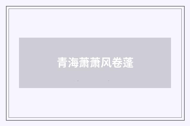 青海萧萧风卷蓬