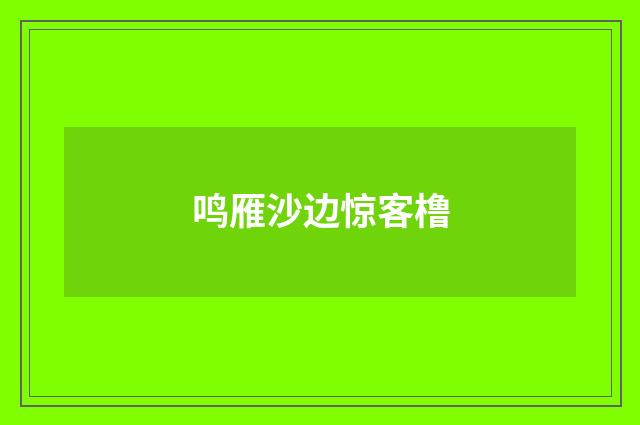 鸣雁沙边惊客橹