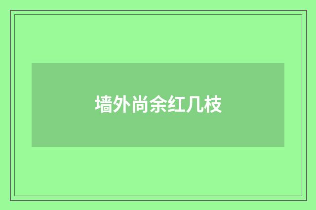 墙外尚余红几枝
