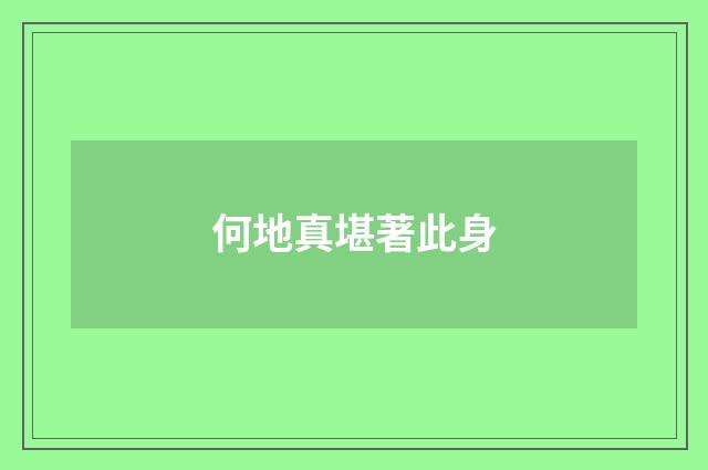 何地真堪著此身
