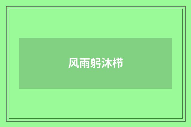 风雨躬沐栉