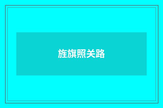 旌旗照关路