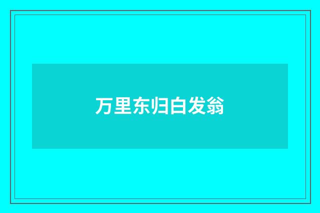万里东归白发翁