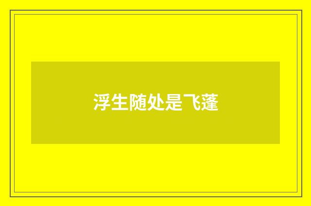 浮生随处是飞蓬