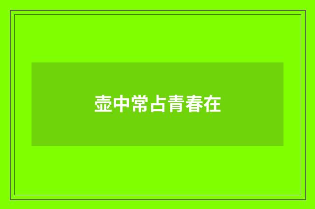 壶中常占青春在