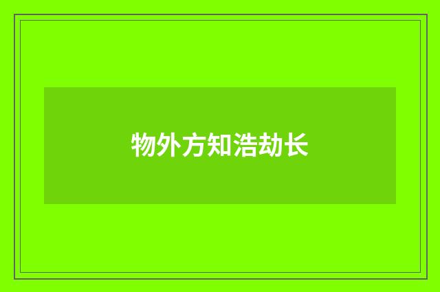 物外方知浩劫长