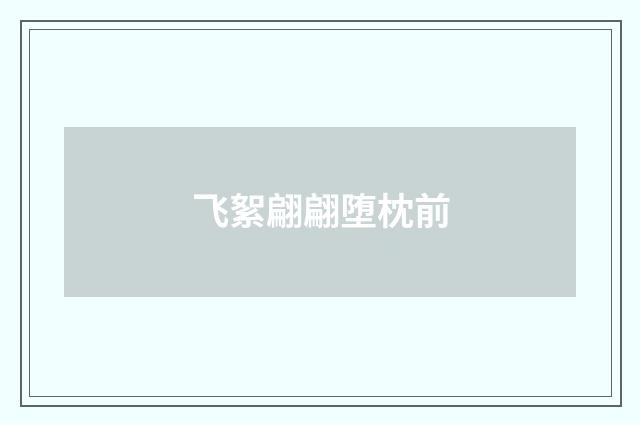 飞絮翩翩堕枕前