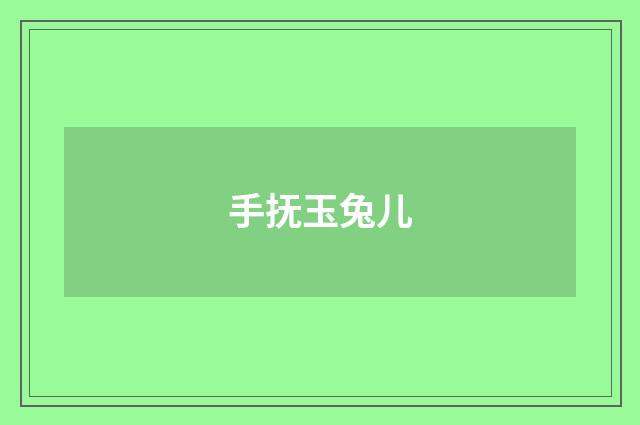 手抚玉兔儿