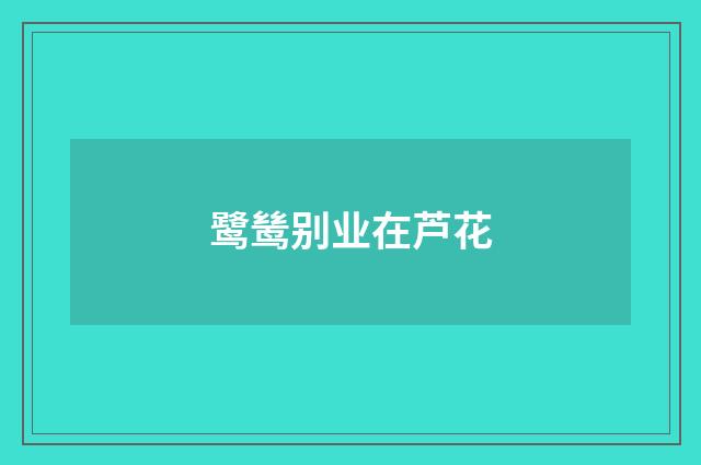 鹭鸶别业在芦花
