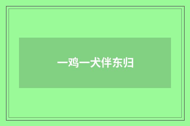 一鸡一犬伴东归