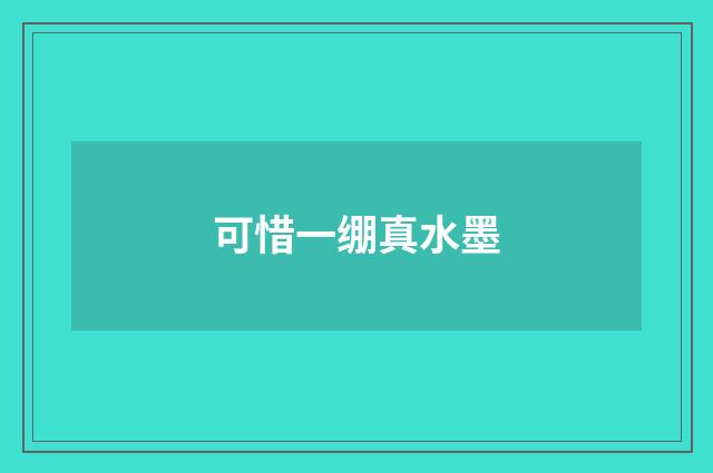 可惜一绷真水墨