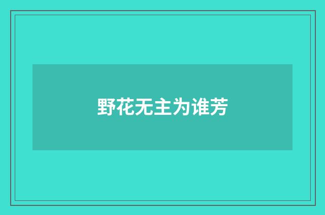 野花无主为谁芳