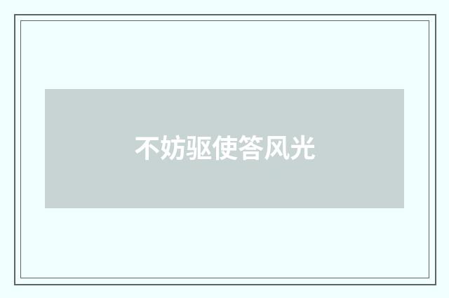 不妨驱使答风光