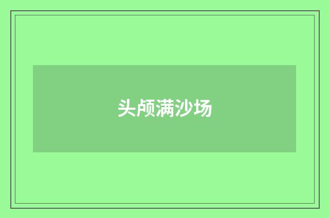 头颅满沙场