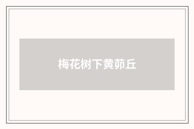 梅花树下黄茆丘
