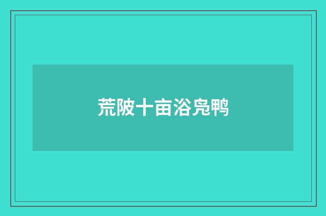 荒陂十亩浴凫鸭