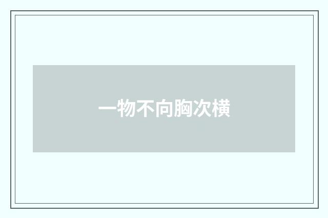 一物不向胸次横