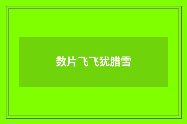 数片飞飞犹腊雪