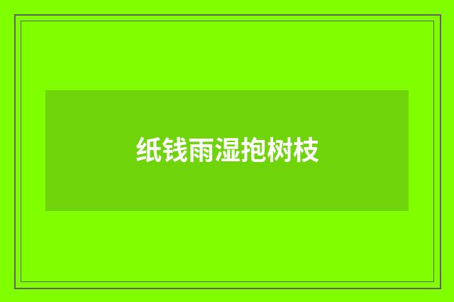 纸钱雨湿抱树枝