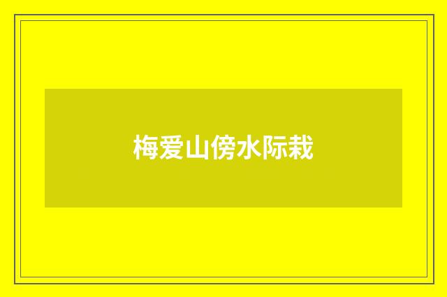梅爱山傍水际栽