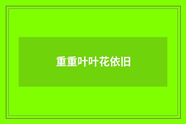 重重叶叶花依旧