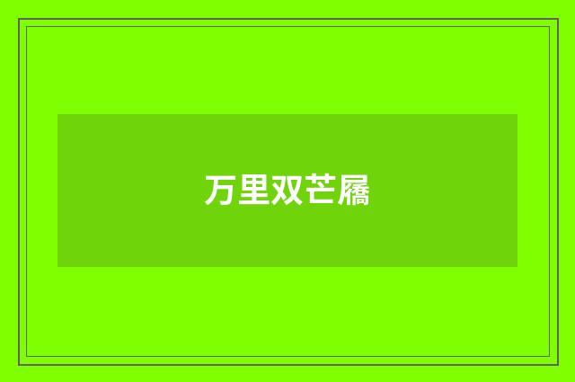 万里双芒屩