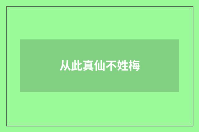 从此真仙不姓梅
