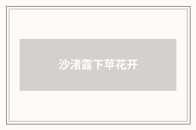 沙渚露下苹花开