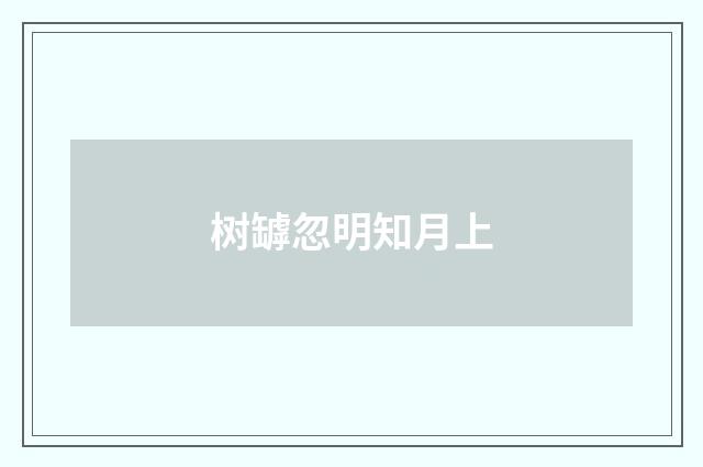 树罅忽明知月上
