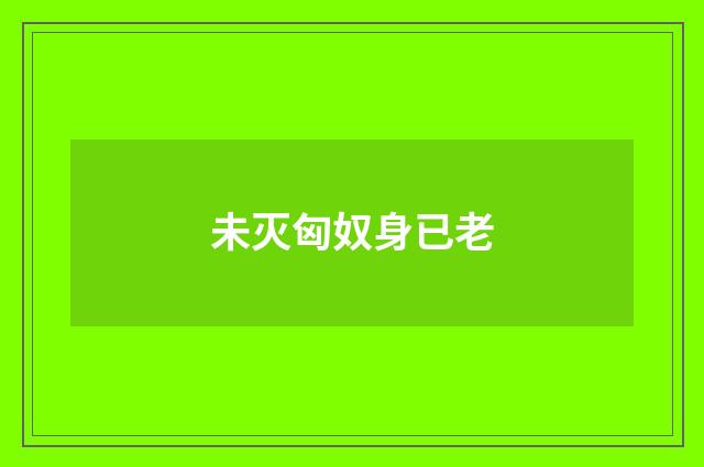 未灭匈奴身已老