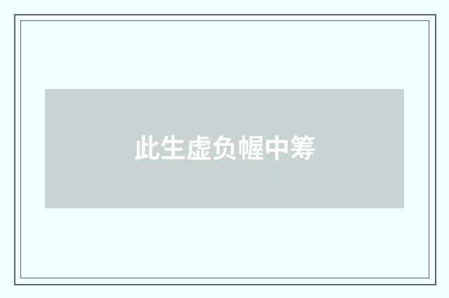 此生虚负幄中筹