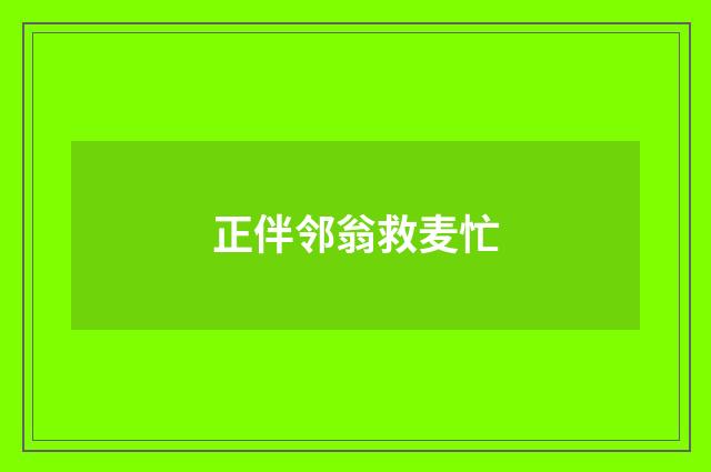 正伴邻翁救麦忙