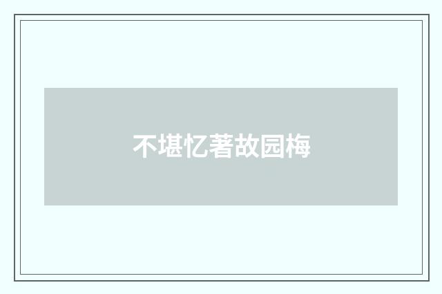 不堪忆著故园梅