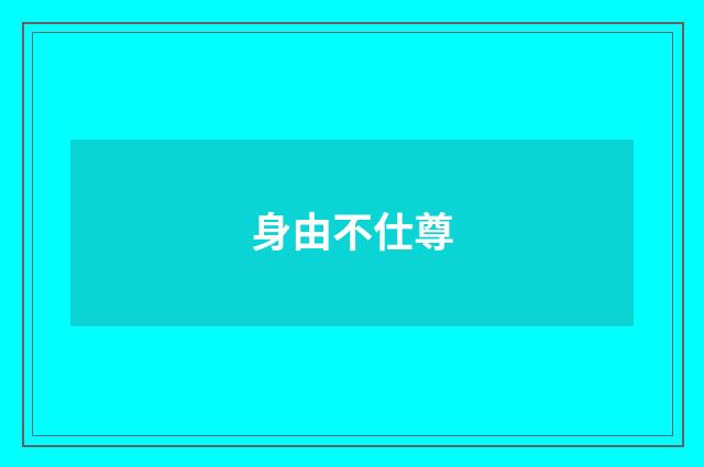 身由不仕尊