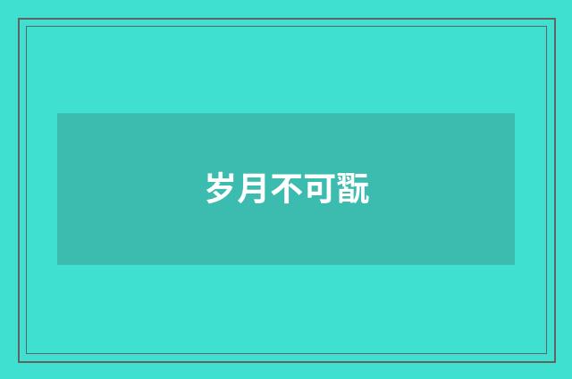 岁月不可翫