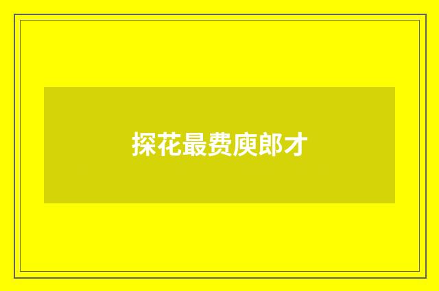 探花最费庾郎才