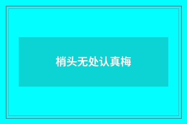 梢头无处认真梅