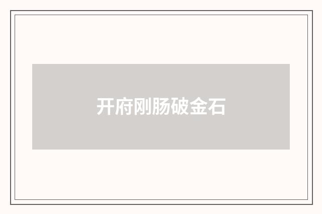 开府刚肠破金石
