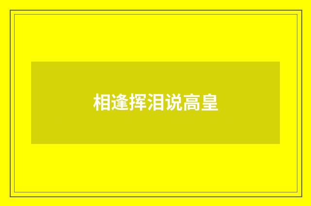 相逢挥泪说高皇