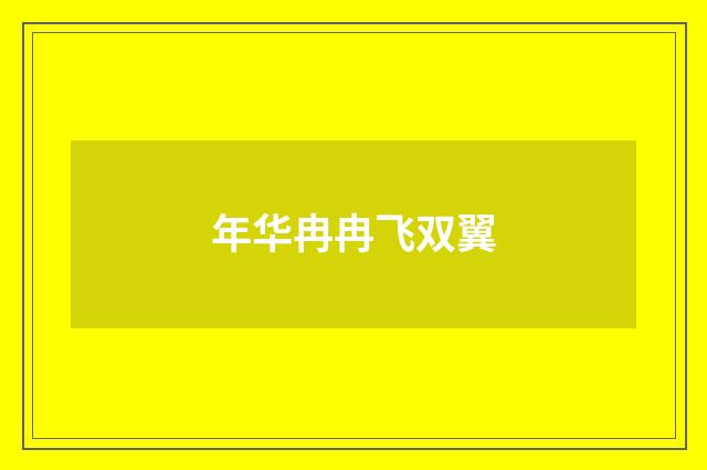 年华冉冉飞双翼