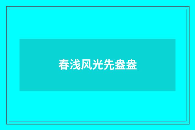 春浅风光先盎盎