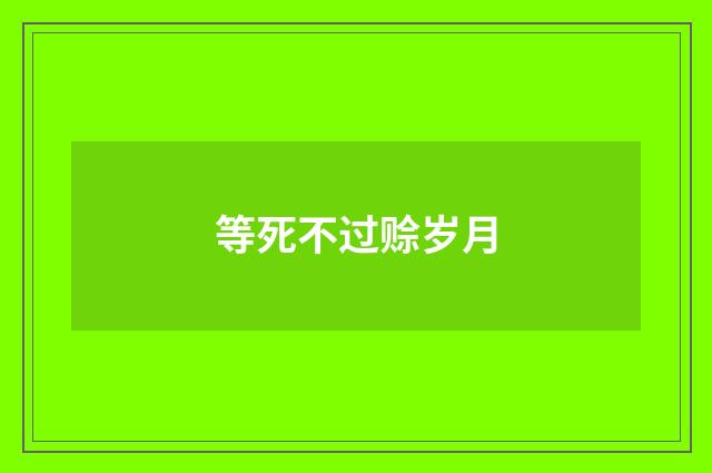 等死不过赊岁月