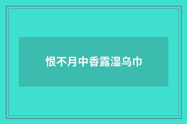 恨不月中香露湿乌巾