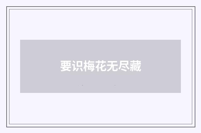 要识梅花无尽藏
